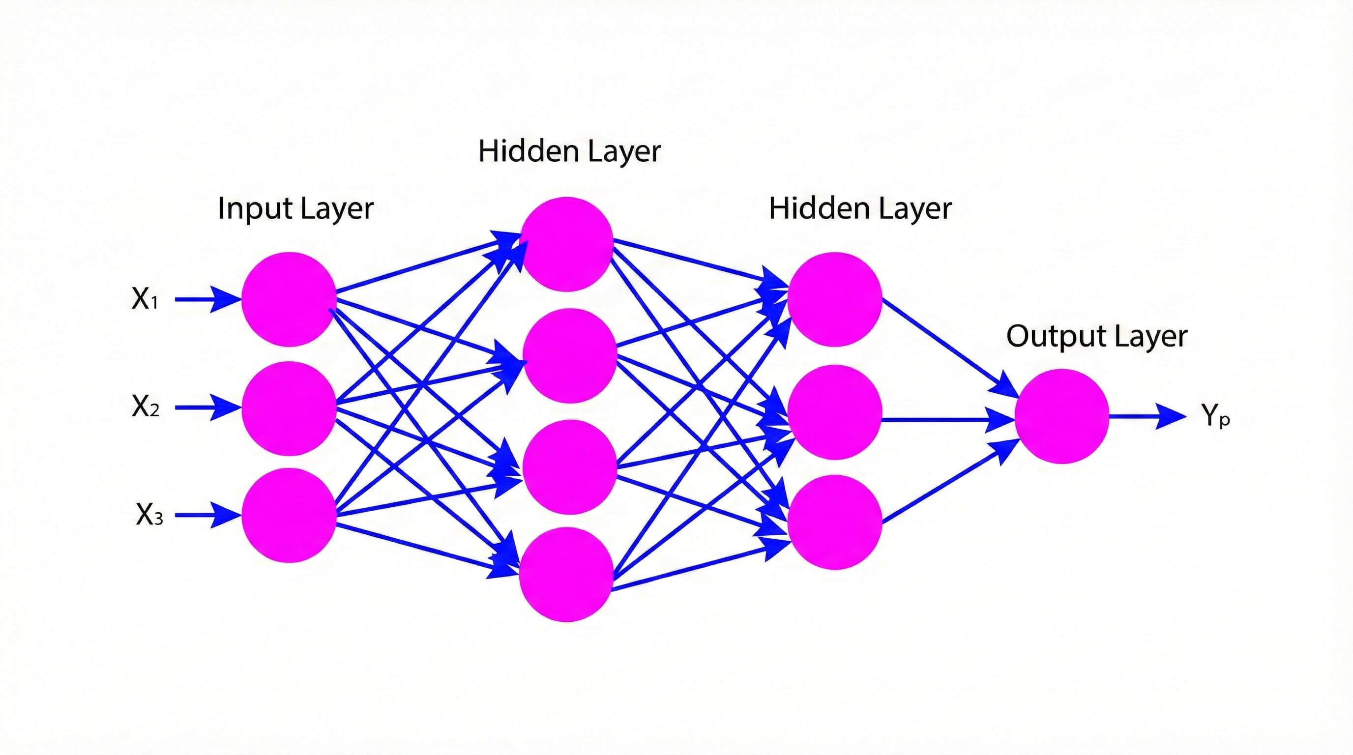 Feed Forward neural Network