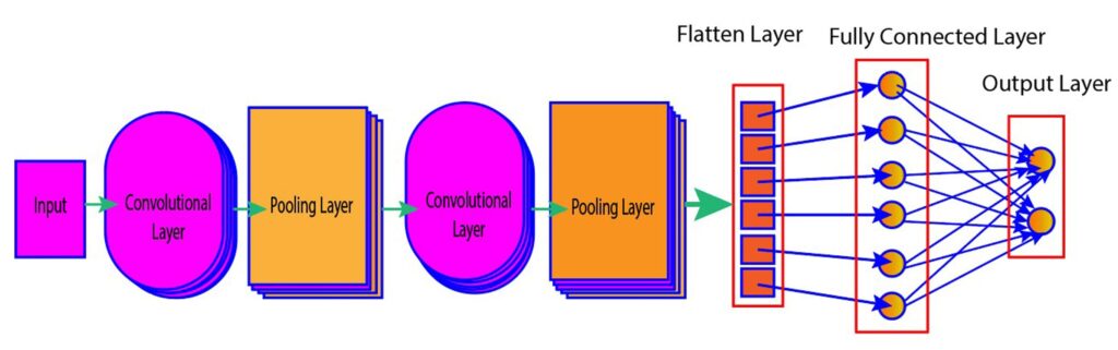 Various Layers Of Convolutional Neural Networks