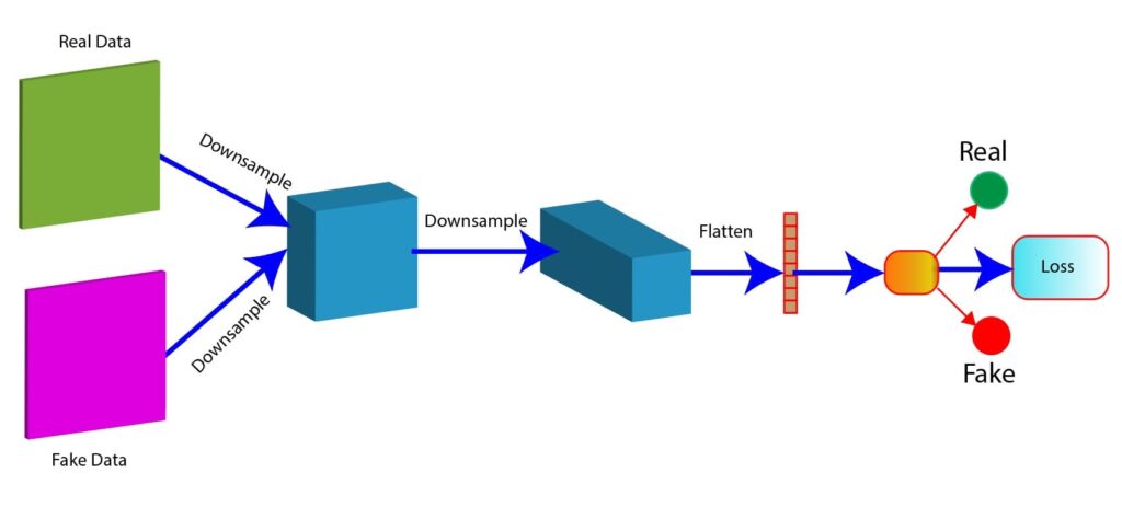 Discriminator Network