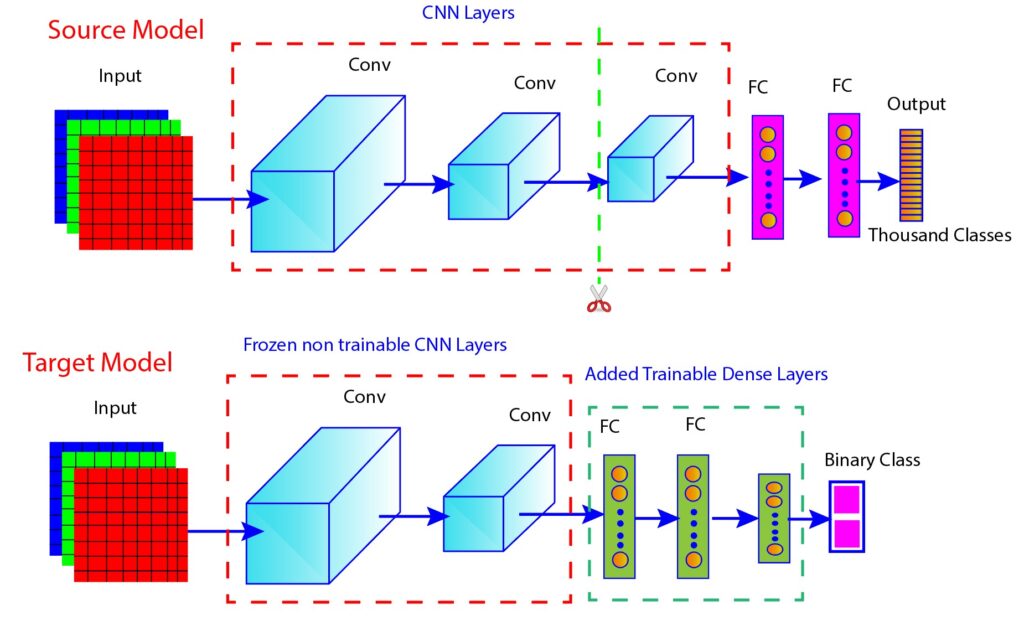 Pictorial representation of how transfer learning works